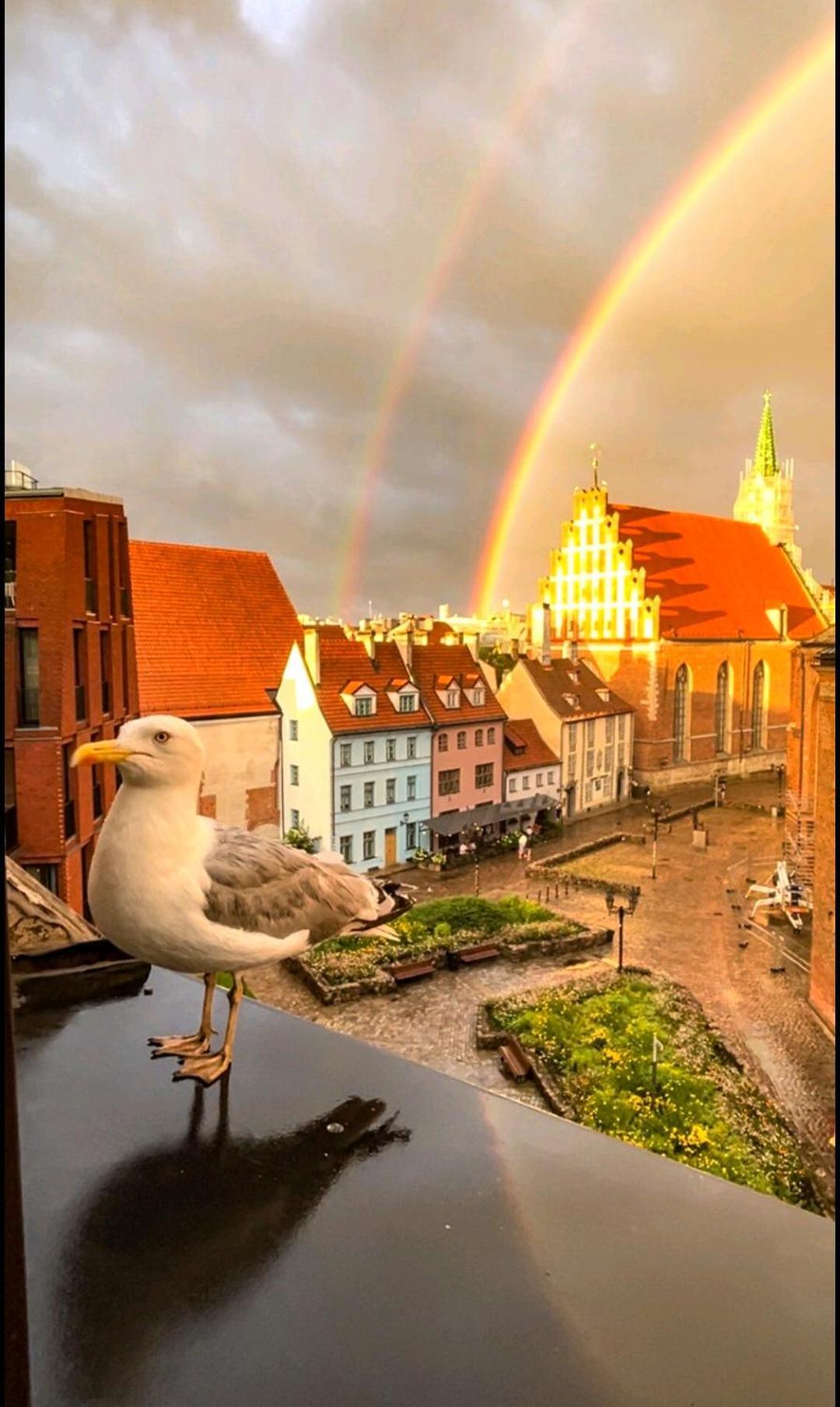 Old Town Retreat With Stunning Views 2 Bedroom Apartment Nearby The Church Of Saint Peter Rīga Exterior foto